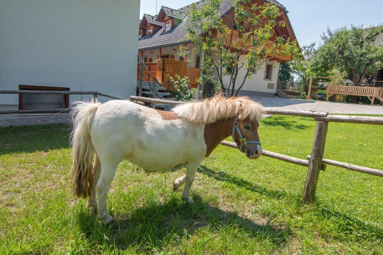 Tourist Farm "Pri Biscu" Villa Bled Exterior photo